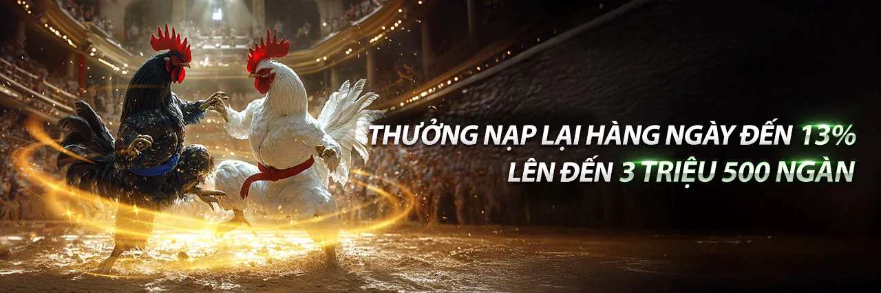 Hướng dẫn cá cược thể thao tại Top 88