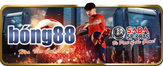 Đánh giá chiến kê tại Top 88